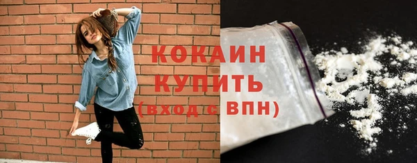 PSILOCYBIN Михайлов